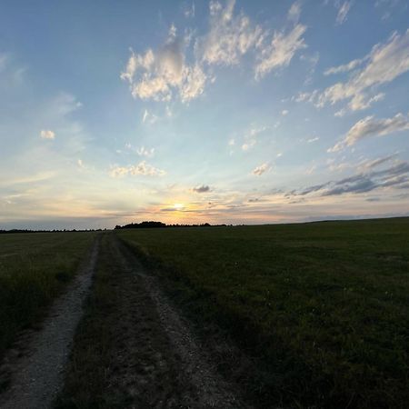 1,5-Zimmer Mit Duschbad, Gartenblick, Kuehlschrank Heroldsberg Exterior foto