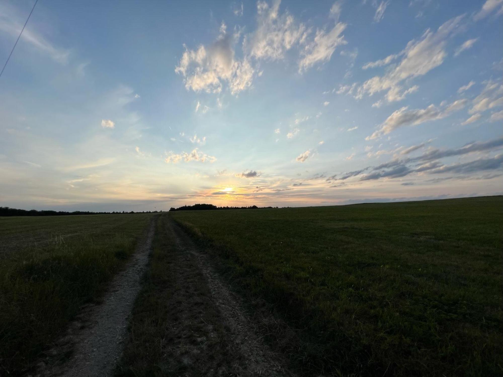 1,5-Zimmer Mit Duschbad, Gartenblick, Kuehlschrank Heroldsberg Exterior foto
